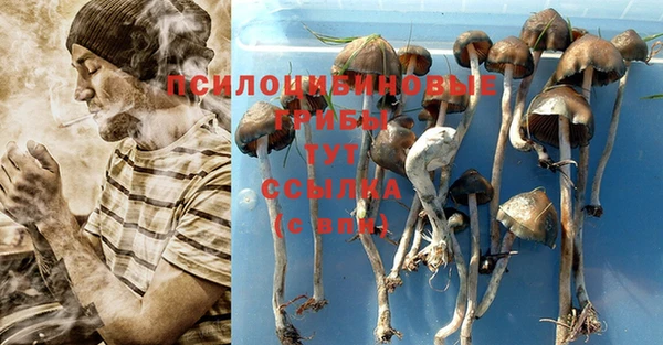 стаф Белоозёрский
