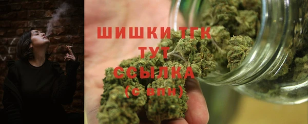 гидра Переславль-Залесский
