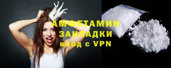 хмурый Пересвет