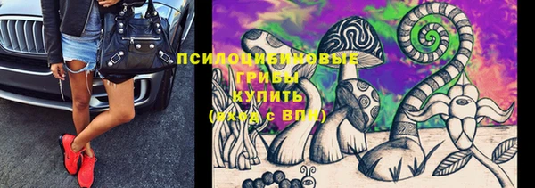 стаф Белоозёрский