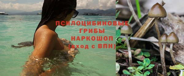 герыч Белокуриха