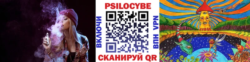 наркотики  mega tor  Галлюциногенные грибы Psilocybe  Сковородино 